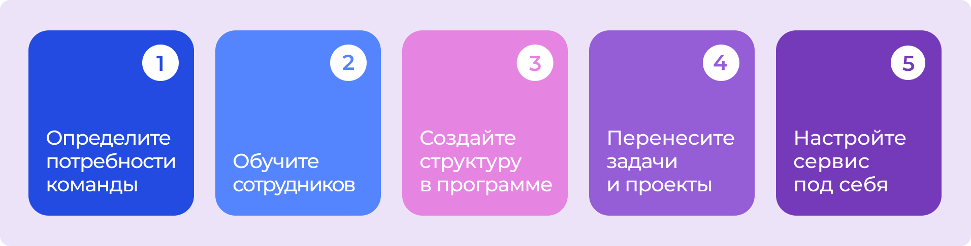 Этапы внедрения новой программы