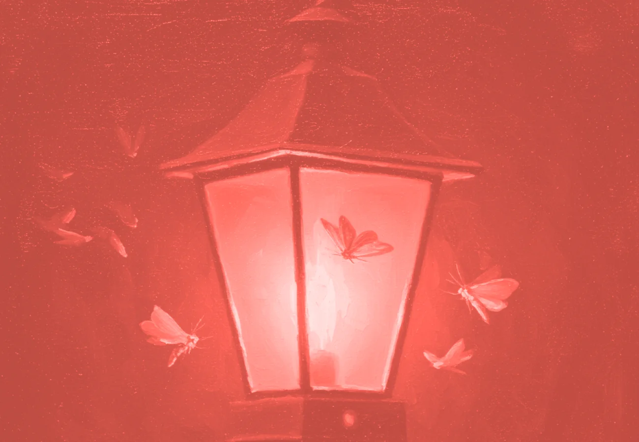 customer_retention_preview