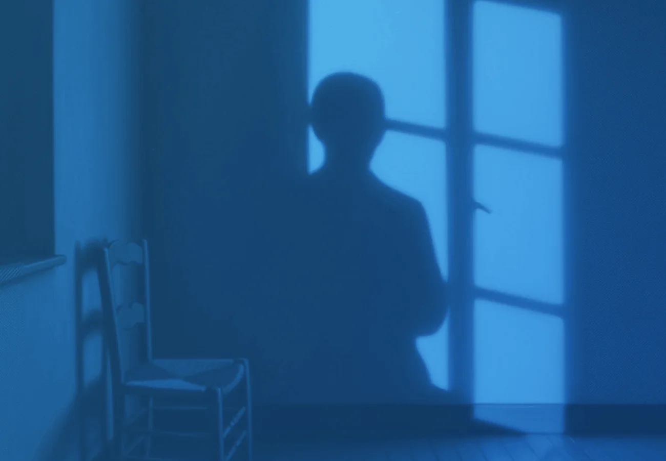 joharis_window_preview