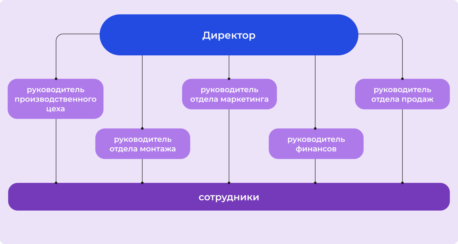Функциональная структура управления Функциональная структура управления