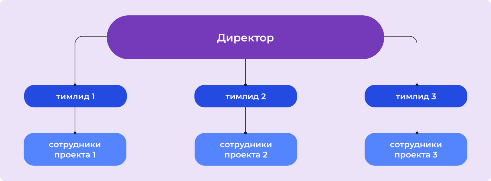 Проектная структура управления Проектная структура управления