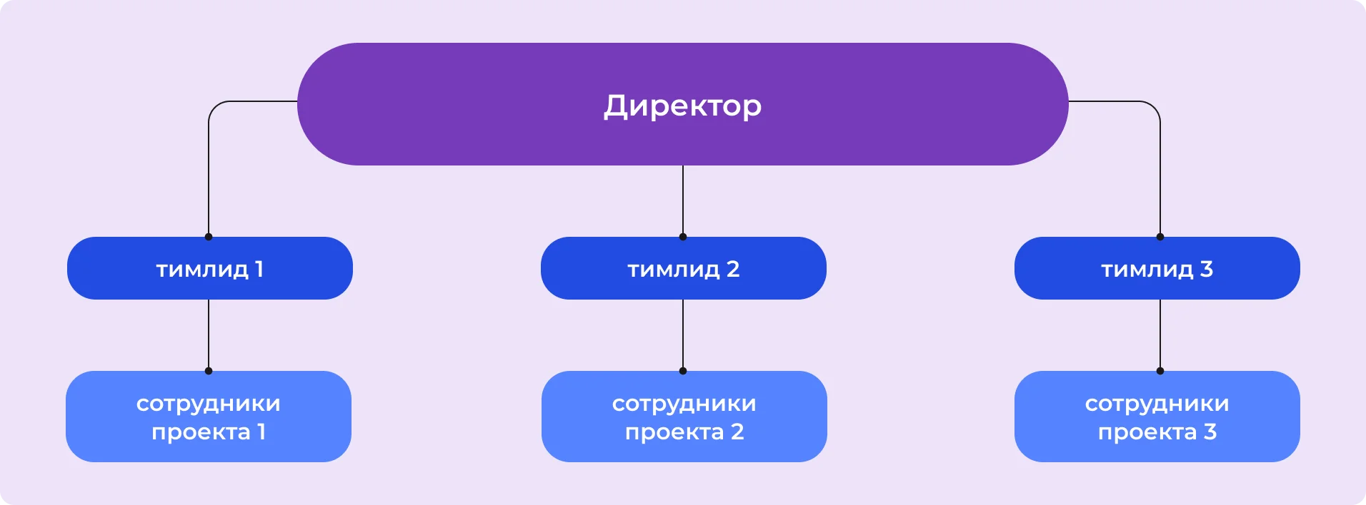 Проектная структура управления