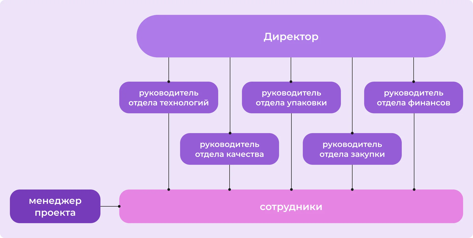Матричная структура управления