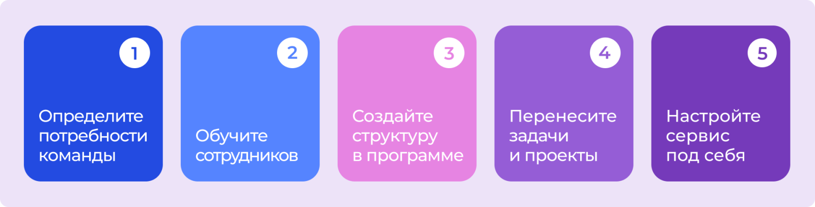 Этапы внедрения новой программы Этапы внедрения новой программы