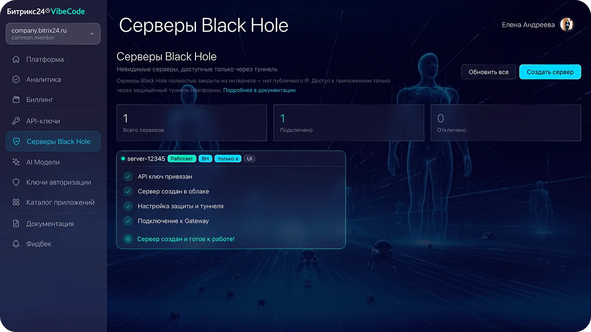 Защищенные серверы Black Hole