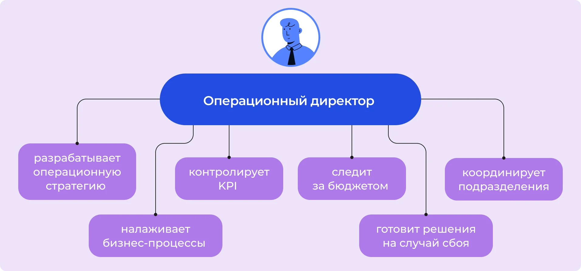 Операционный директор — обзор обязанностей