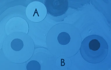 Гипотезы в маркетинге: зачем нужны и как их протестировать