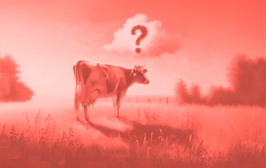 Матрица BCG: что такое и как использовать