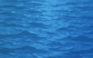 «Стратегия голубого океана», Ким Чан и Рене Моборн: как найти нишу для бизнеса и заплыть далеко