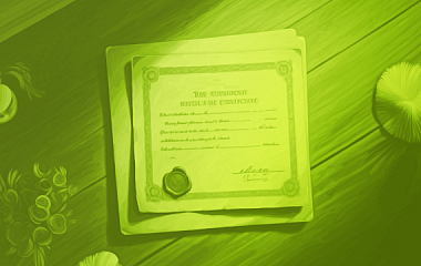 Товарный знак: для чего нужен и как его зарегистрировать