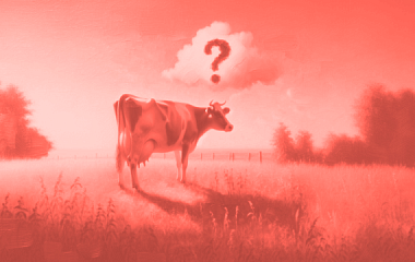 Матрица BCG: что такое и как использовать