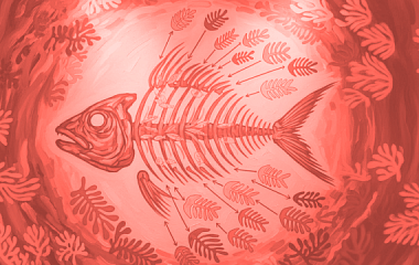 Разобрать задачу по косточкам: что такое диаграмма Исикавы и как ее построить